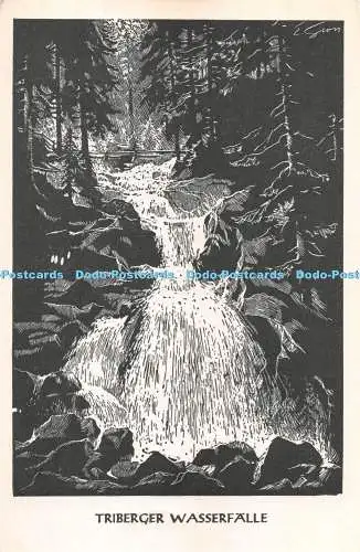R284913 Triberger Wasserfalle Nr 263916 Postkarte