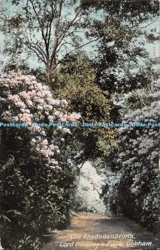 R285124 Cobham Lord Barclay Park The Rhododendrons Hartmann 1905