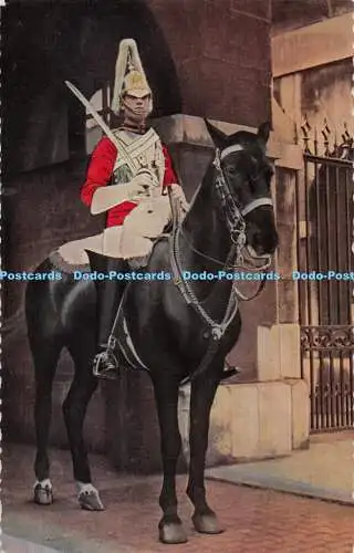 R286549 London Whitehall Horse Guard Einer der Rettungsschwimmer A V Fry Fly