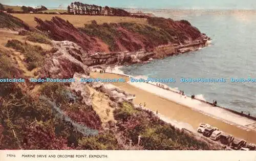 R286594 Exmouth Marine Drive und Orcombe Point Harvey Barton