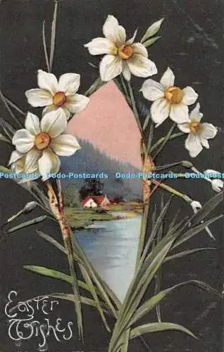 R286677 Osterwünsche Narzissenhaus Wildt und Kray Serie 1542