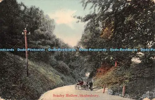 R290153 Semley Hollow Shaftesbury R Wilkinson