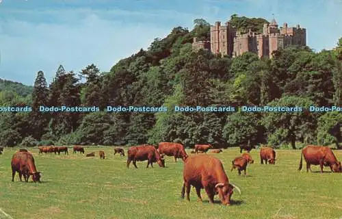 R290577 Dunster Castle from Old Polo Ground L T Blackmore 1766 The Photographic