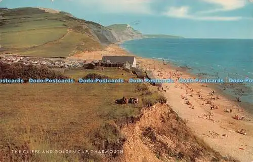 R290581 The Cliffs and Golden Cap Charmouth Salmon 1973