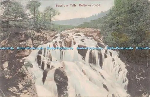 R290800 Swallow Falls Betty Coed 1150 1909