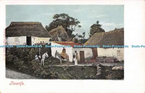 R289675 Tenerife Nobregas English Bazar No 21 Espana