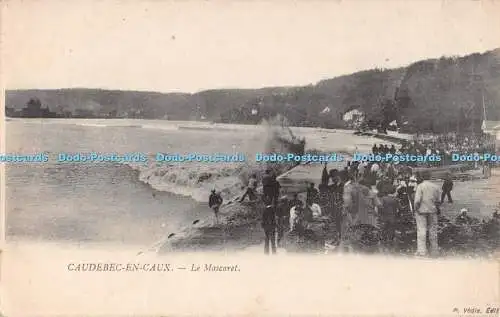 R289852 Caudebec en Caux Le Mascaret P Vedie