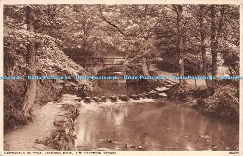 R292958 Newcastle on Tyne Jesmond Dene The Stepping Stones Photochrom