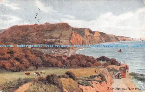 R294440 Sidmouth From Peak Hill A R Quinton Salmon No 1806 1921