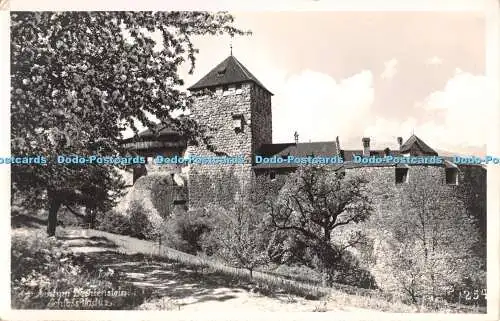 R292973 Schloss Vaduz Furstentum Liechtenstein Tellko A Buck