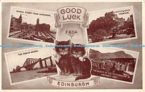 R296052 Good Luck from Edinburgh Cats Dennis 1955 Multi View