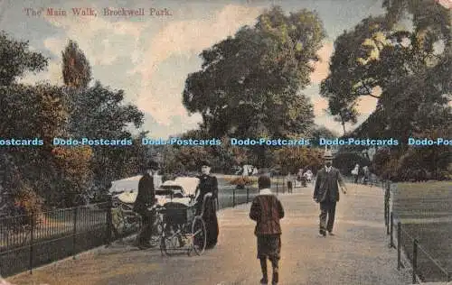 R293266 The Main Walk Brockwell Park W and K London Post Card 1905