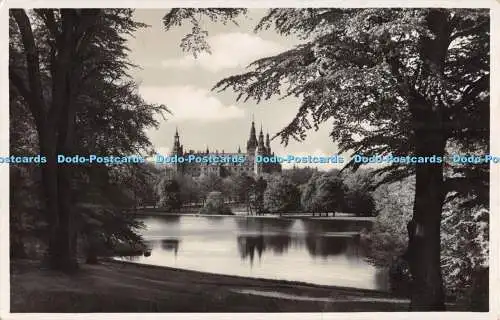 R294767 Castle Lake Trees 1933