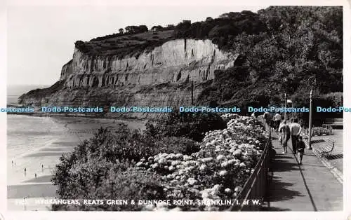 R293459 Hortensien Keats grün und Dunnose Point Shanklin I von W 5805 Nächte bei V