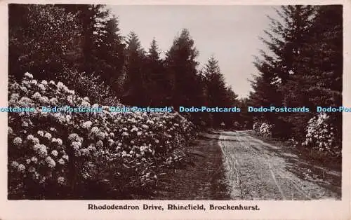 R296465 Rhododendron Drive Rhinefield Brockenhurst