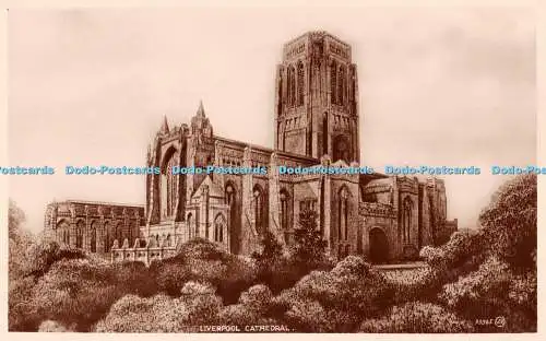 R296599 Liverpool Cathedral 93365 J V RP