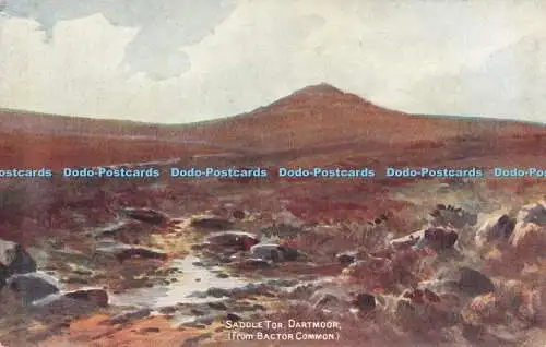 R296653 Sattel Tor Dartmoor von Bactor Common Salmon W H Dyer 783