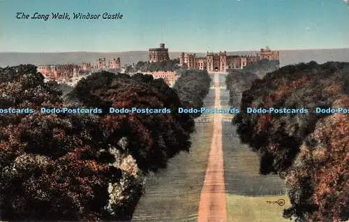 R296732 The Long Walk Windsor Castle 78104 Valentines Serie