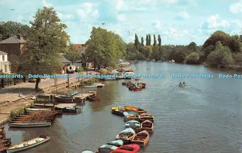 R298234 The River Dee Chester Salmon No 