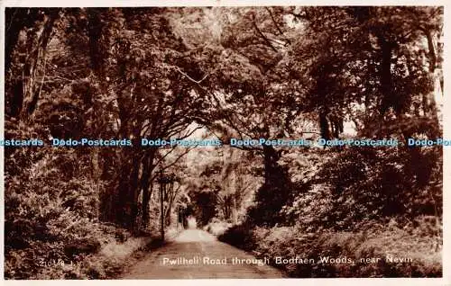 R298408 Pwllheli Road Through Bodfaen Woods Near Nevin Valentine RP No 210448 JV