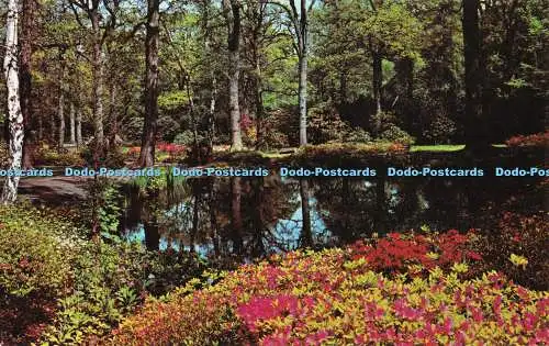 R297171 The Park Richmond PT5153