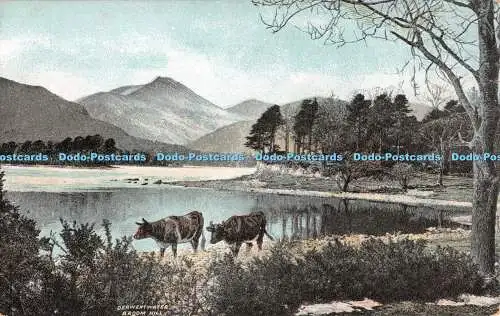 R298613 Derwentwater Broom Hill B und Rs Kamera