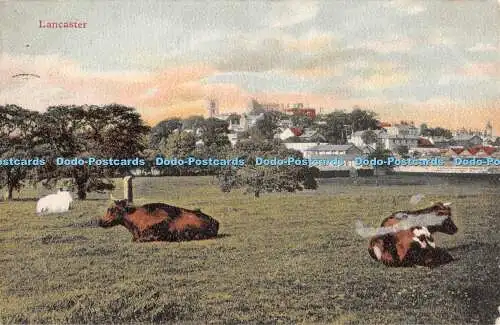 R298639 Lancaster Valentine No 40053 904