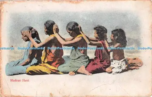 R298663 Madras Hunt No 147 No 184758