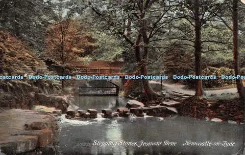 R298809 Trittsteine Jesmont Dene Newcastle On Tyne Kromo 1908