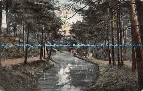 R302356 Bournemouth Branksome Chine Hartman 1905