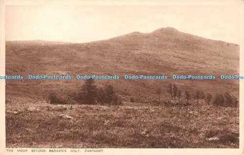 R302360 Dartmeet The Moor Beyond Badger Holt The Proprietor Dachs Holt Teegard