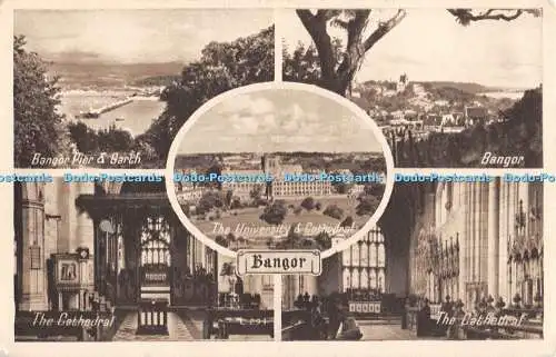 R304714 Bangor C 294 Precision English Series Multi View
