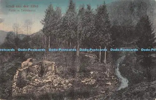 R306477 Gruss ans der Eifel Partie im Tiefenbachtal Chr C Schnitzler