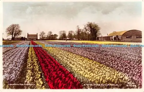 R303316 A Spalding Tulip Field Lincolnshire Free Press Picture 6639 B 1048 N Coa