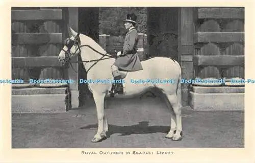 R308519 Royal Outrider in Scarlet Livery Horse The Royal News Buckingham Palace