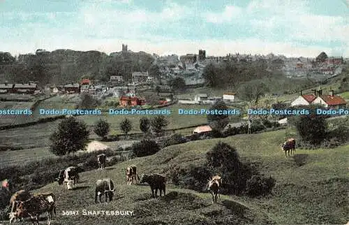 R302101 Shaftesbury Photochrom Exclusive Photo Color Series No 24181 1908