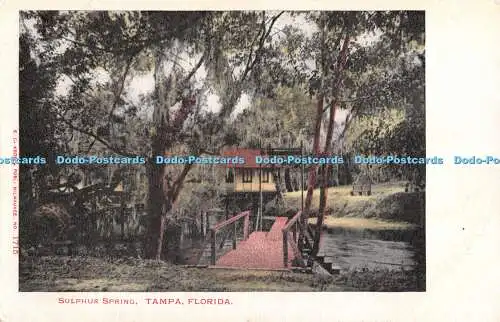 R310674 Florida Tampa Sulphur Spring E C Kropp No 1715