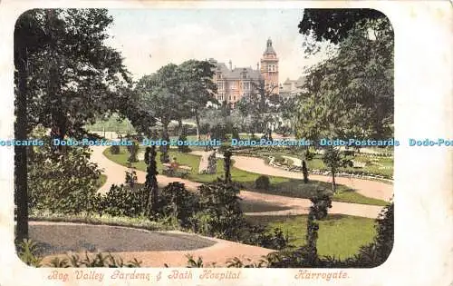 R305982 Harrogate Bog Valley Gardens and Bath Hospital