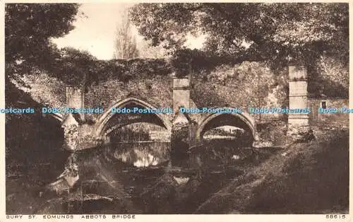 R305998 Bury St Edmunds Abbots Bridge Photochrom