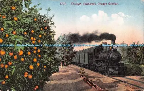 R309300 Through California Orange Groves 1724 Edw H Mitchell San Francisco