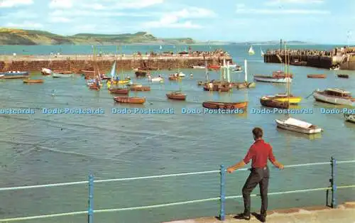 R308124 The Harbour and Golden Cap Lyme Regis PT2207