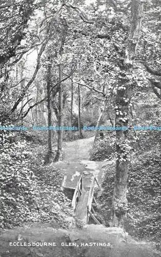 R311709 Ecclesbourne Glen Hastings The Sussex Photographic