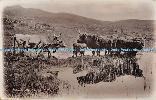 R316613 Inmitten der ewigen Hügel Postkarte 1913