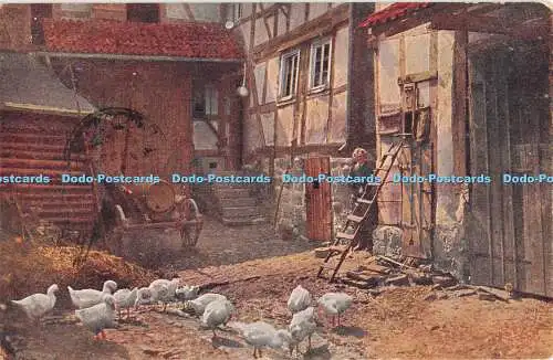 R313320 Unbekanntes Geflügel auf einem Bauernhof Hoffoto Eberth Cassel Serie 140 Nr 7