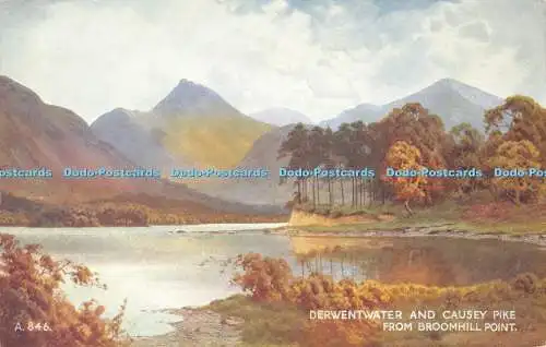 R318496 A 846 Derwentwater and Causey Pike from Broomhill Point Valentines Art C