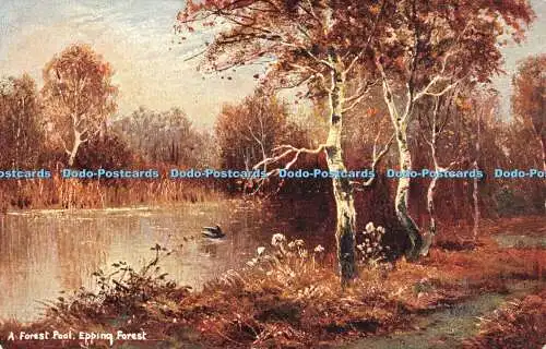 R317108 A Forest Pool Epping Forest S Hildesheimer Ansichten von Chingford Serie Nr.