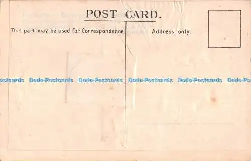 R313838 Mann im schwarzen Anzug Vier kleine Küken und Frosch Postkarte