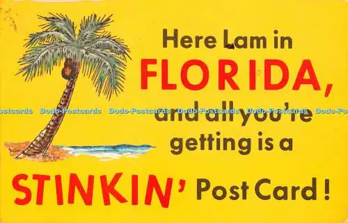 R317212 Hier Lam in Florida und alles, was Sie bekommen, ist eine Stinkin Postkarte Florida