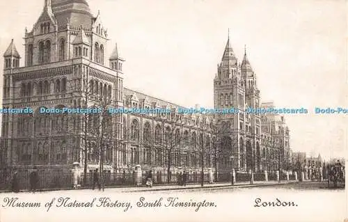 R318683 London Museum of Natural History South Kensington