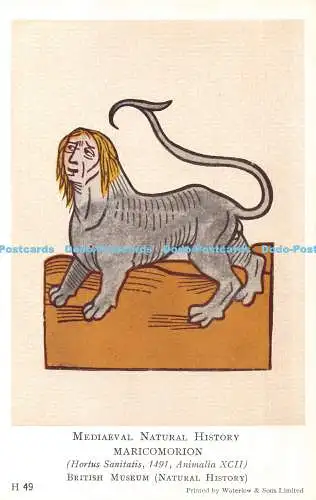 R322587 Mittelalterliche Naturkunde Maricomorion Hortus Sanitatis 1491 Animalia XC